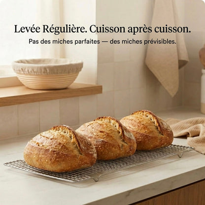 Banneton à pain en rotin naturel